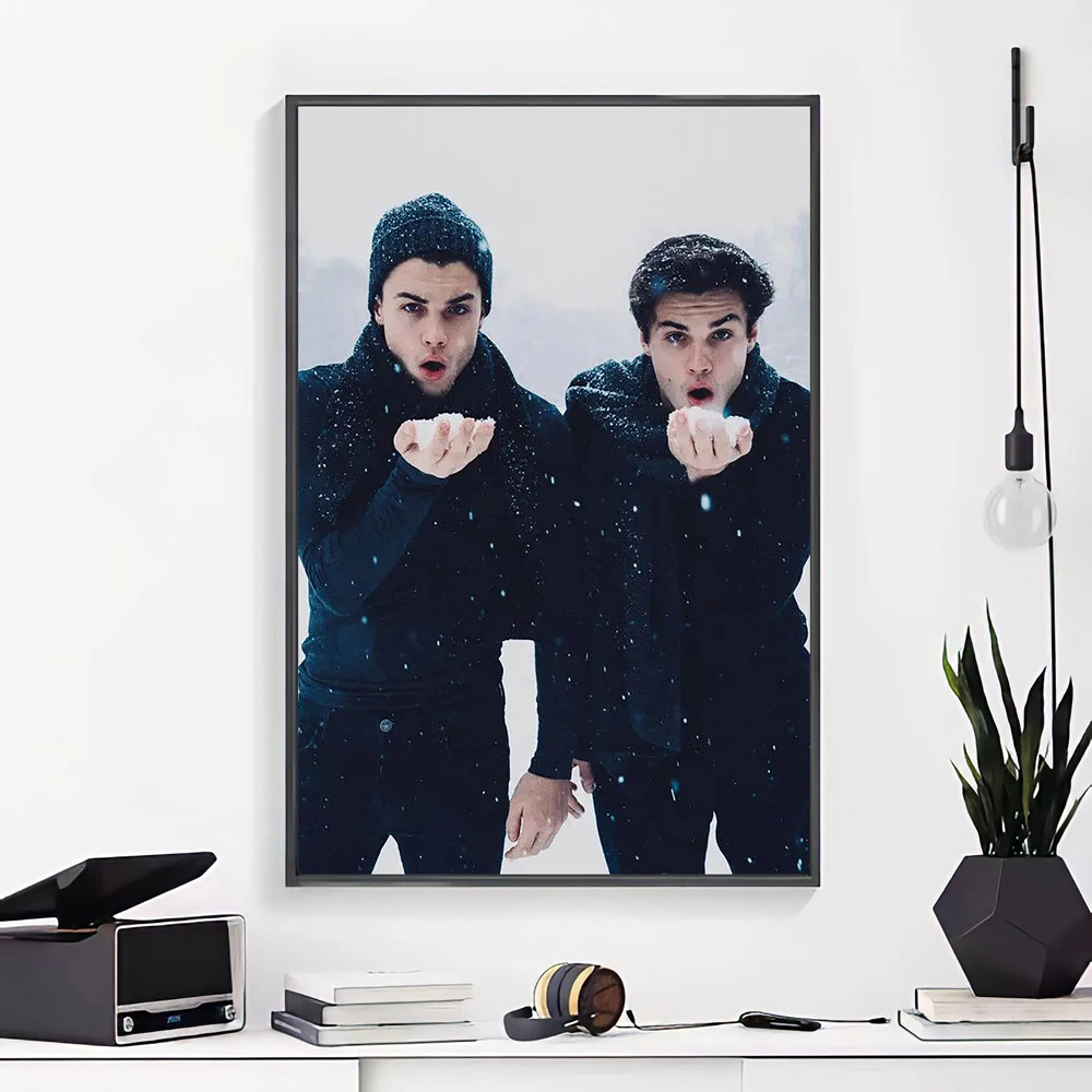 Фото J014 Dolan Twins музыкальная певица звезда шелковый плакат настенная наклейка украшение подарок №1