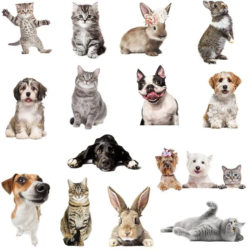 

Cartoon cute cat, dog and rabbit stick bathroom glass home waterproof DIY wall decoration PVC wall stickers room decor aesthetic
