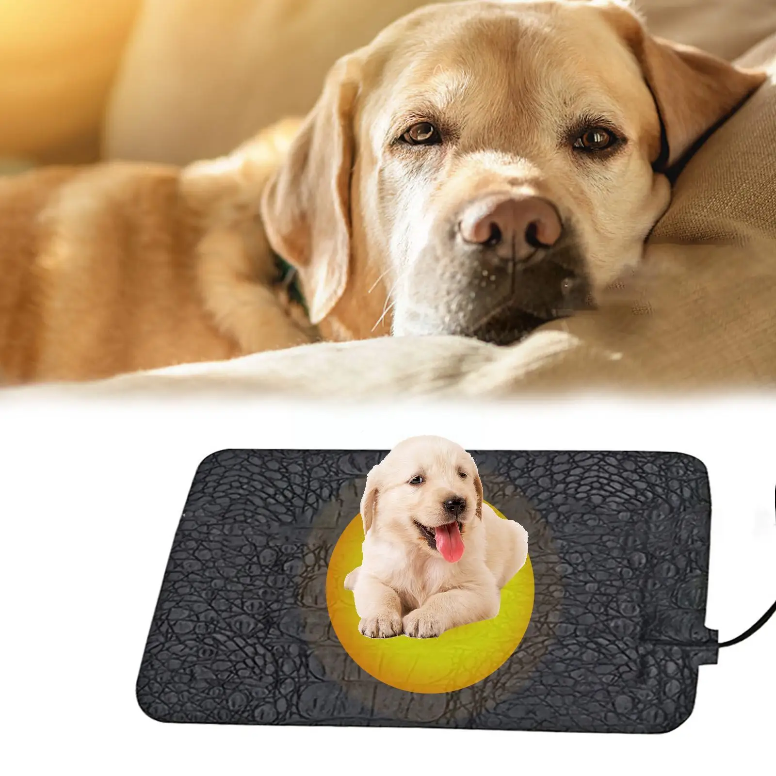

Usb Pet Electric Heating Pad Reptile Thermal Blanket Heating Adjustable Tools Controller Temperature Pad Warm Incubator Mat F9i4