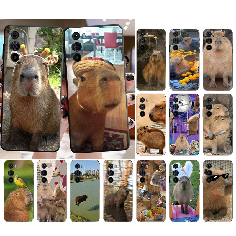 

Cute Animal Capybara Phone Case for Moto E22i E22 E32 E40 E20 Edge X30 20 Lite 20Pro 30 Neo Ultra Fusion E7Power E7 E6 Plus