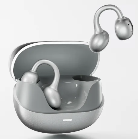 Беспроводные наушники Bamboo Forest Bird zhulinniao T40 OWS