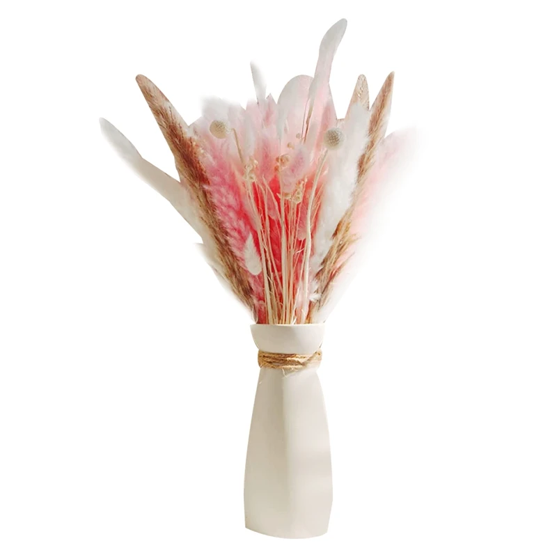 

AT69 -Dried Pampas Grass,Dried Flowers Reed Grass,17 Inch Pompass Grass Branches For Flower Arrangements Wedding Home Decor