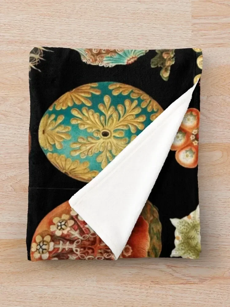 Одеяло в виде морских сквиртов асцитацеи Рождественское украшение одеяла и