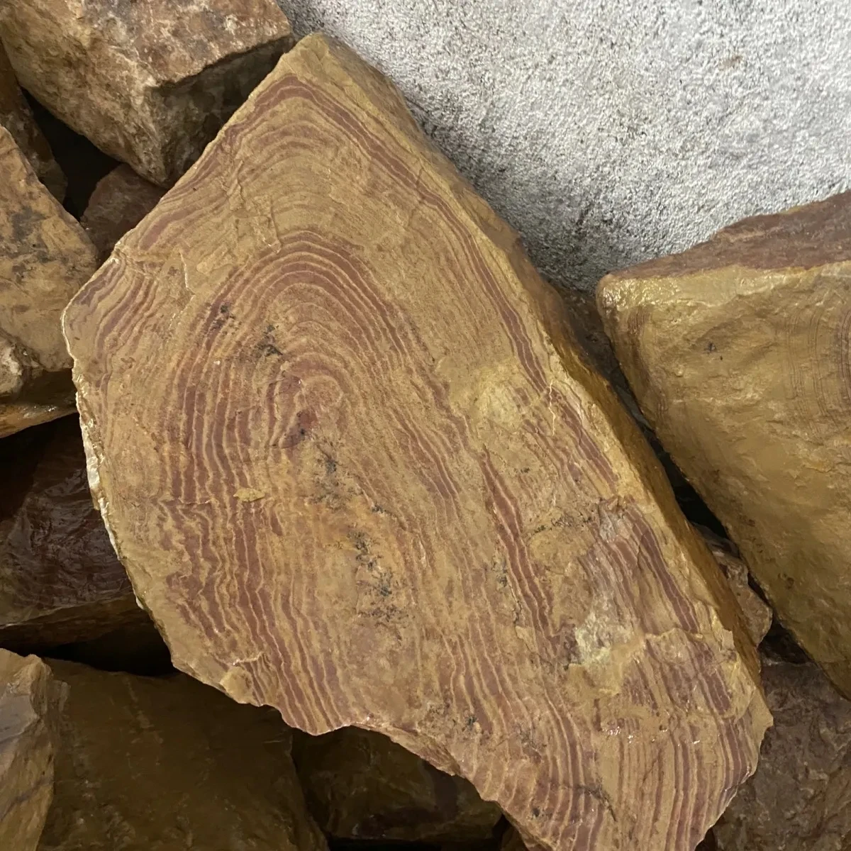 Рисунок 5 - 500 г натуральное сырье руды шесть колец твердость 2