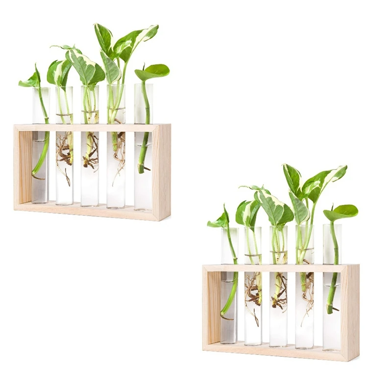 

Plant Propagation Stations, Plant Terrarium With Wood Stand For Propagating Hydroponic Plants Holder Home Decor
