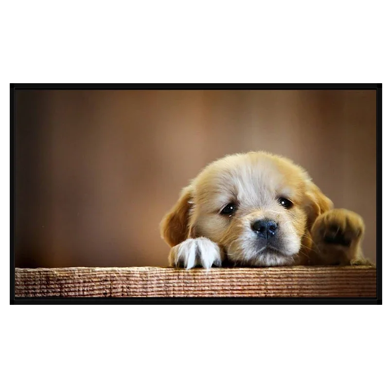 Цифровой дисплей с сенсорным экраном Wi-Fi