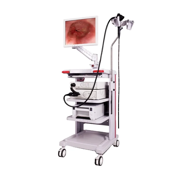 SY-6100 Medical Endoscope System with video gastroscope and Video Colonoscope
