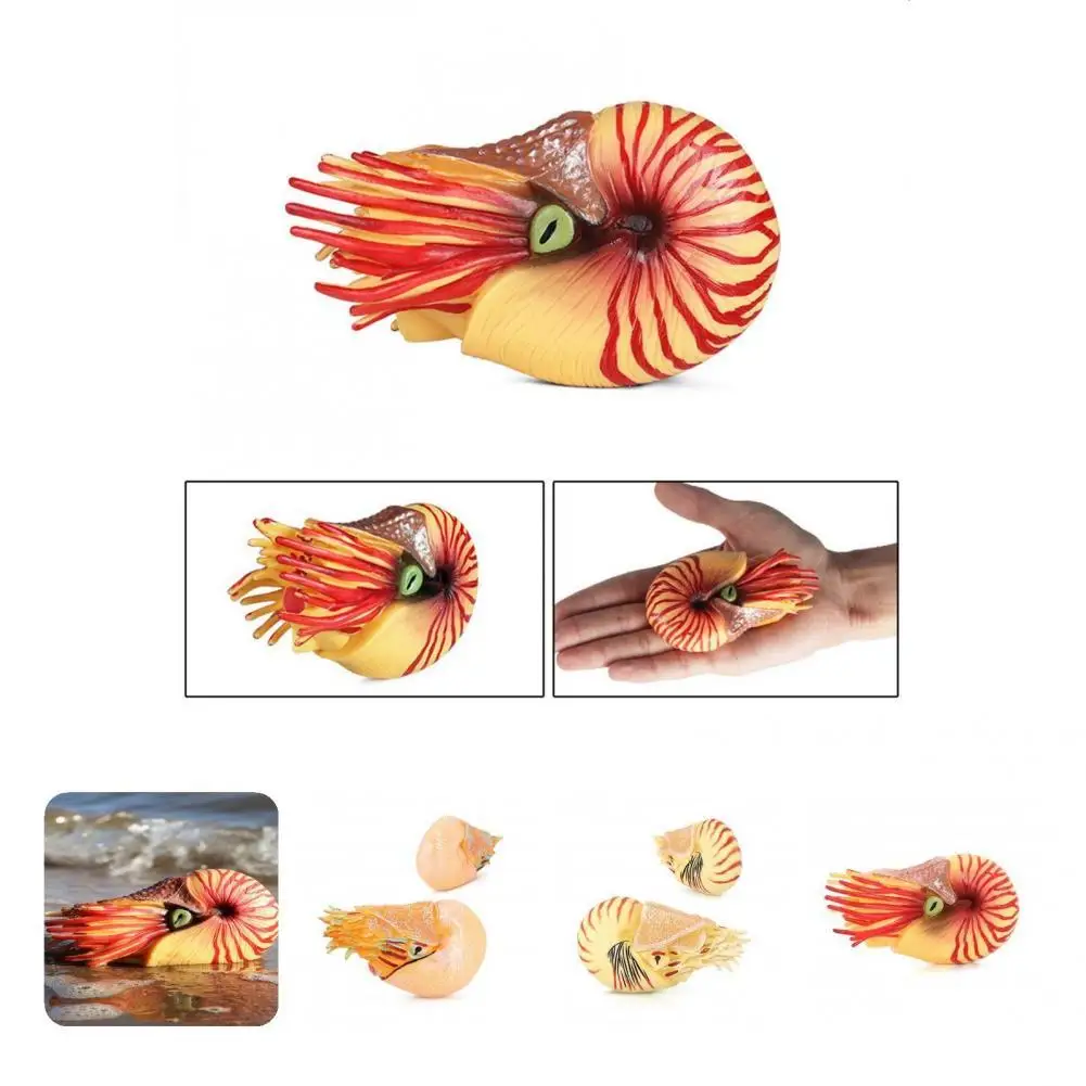 

Vivid Expression Micro Decor Vibrant Color Educational Learning Toy Nautilus Deep Sea Animal Figures for Desktop