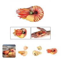 vivid expression micro decor vibrant color educational learning toy nautilus deep sea animal figures for desktop