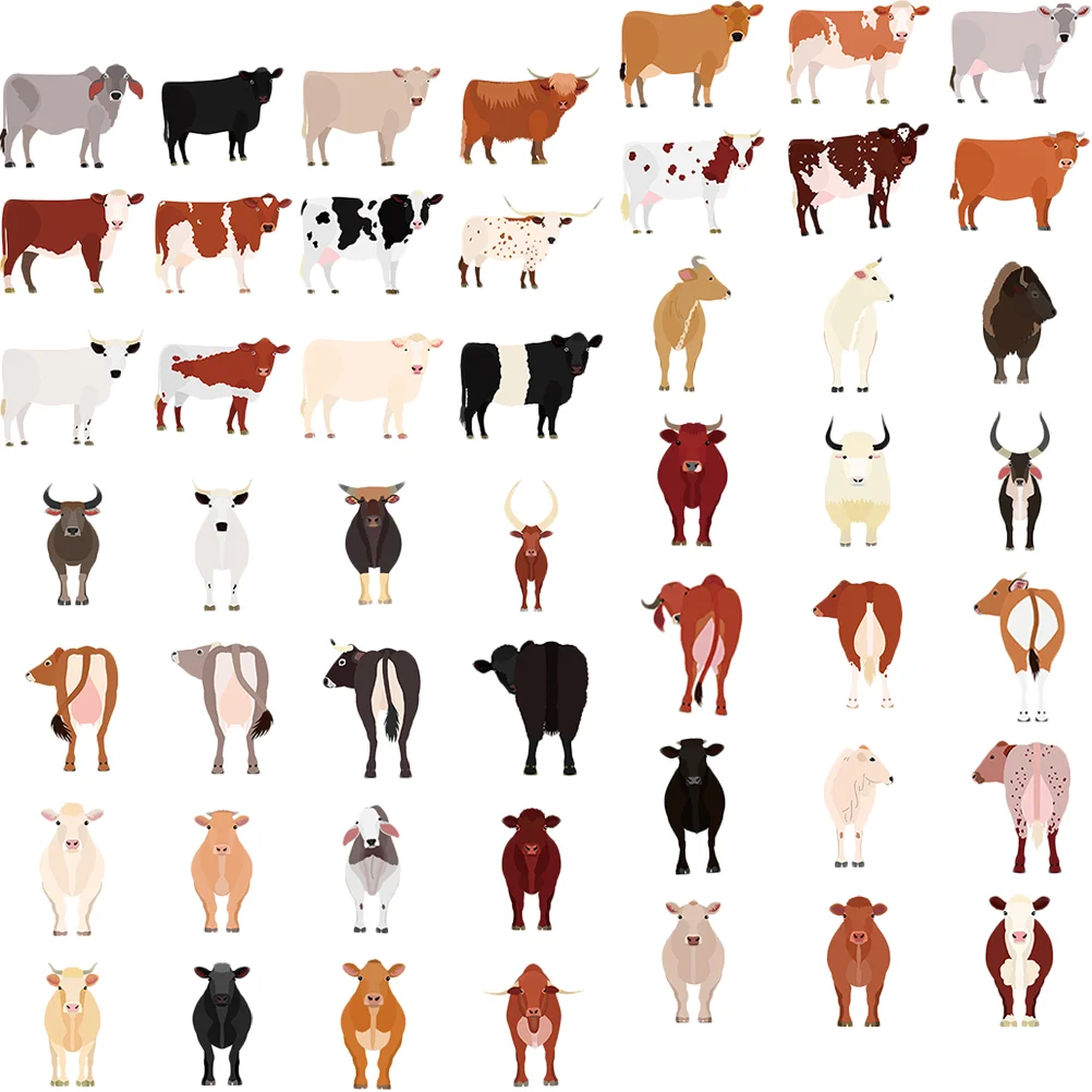 

150 Pcs Stickers Decoration Bulk Crafts Computer Decals Laptop Envelope Adult Water Flask