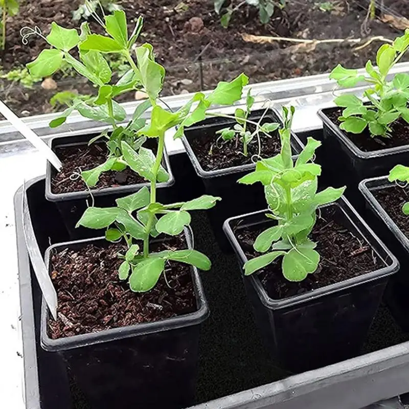 

Plant Watering Mat Automatic Thick Watering Capillary Mat with Cuttable Design Vacation Plant Watering System for Greenhouse