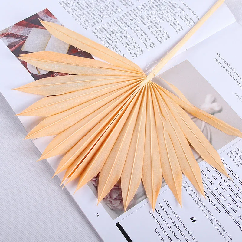 Натуральные сушеные цветы веер кошачий хвост растения Подсолнух Пальмовые