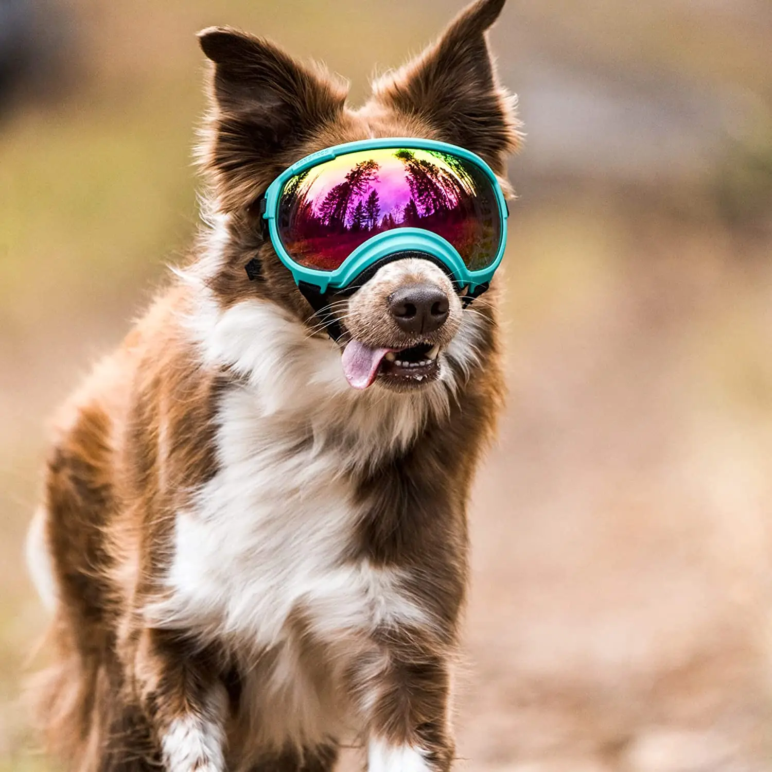 

Adjustable Strap Dog Medium-large Glasses Sunglasses,suitable Winproof Dog Pet For Sunglasses Dog With Goggles Protection Dog