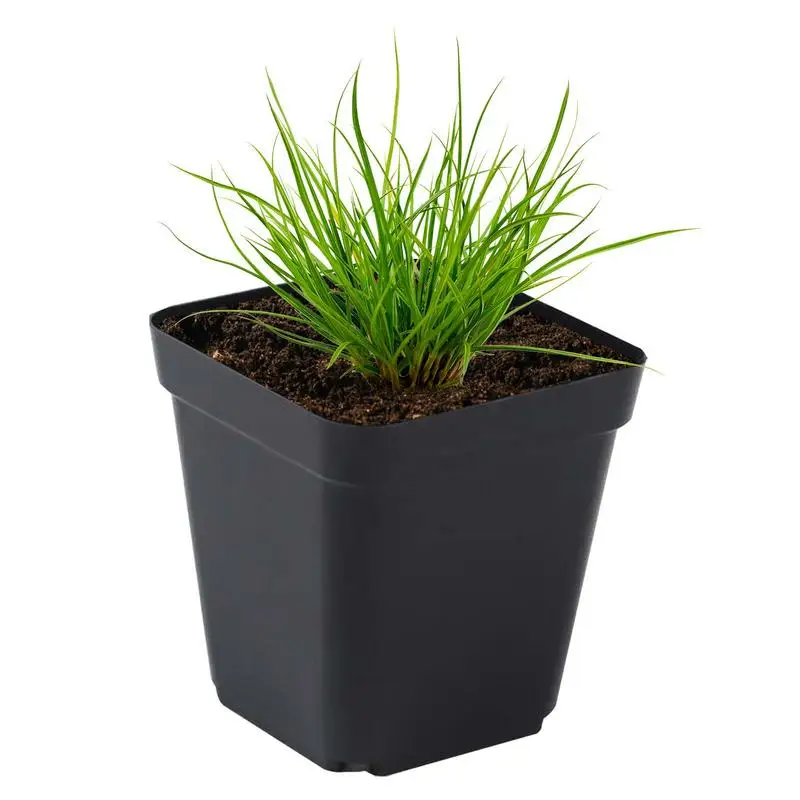 

Seedling Pots Square Plant Nursery Pots Seed Pot Flower Plant Container For Fruit Vegetable Plant Succulents Seedlings Cuttings