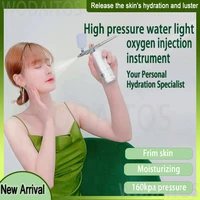 airbrush quick hydration household handheld oxygen injector facial spray vapour ion facial spray gun deep cleaning sprayer