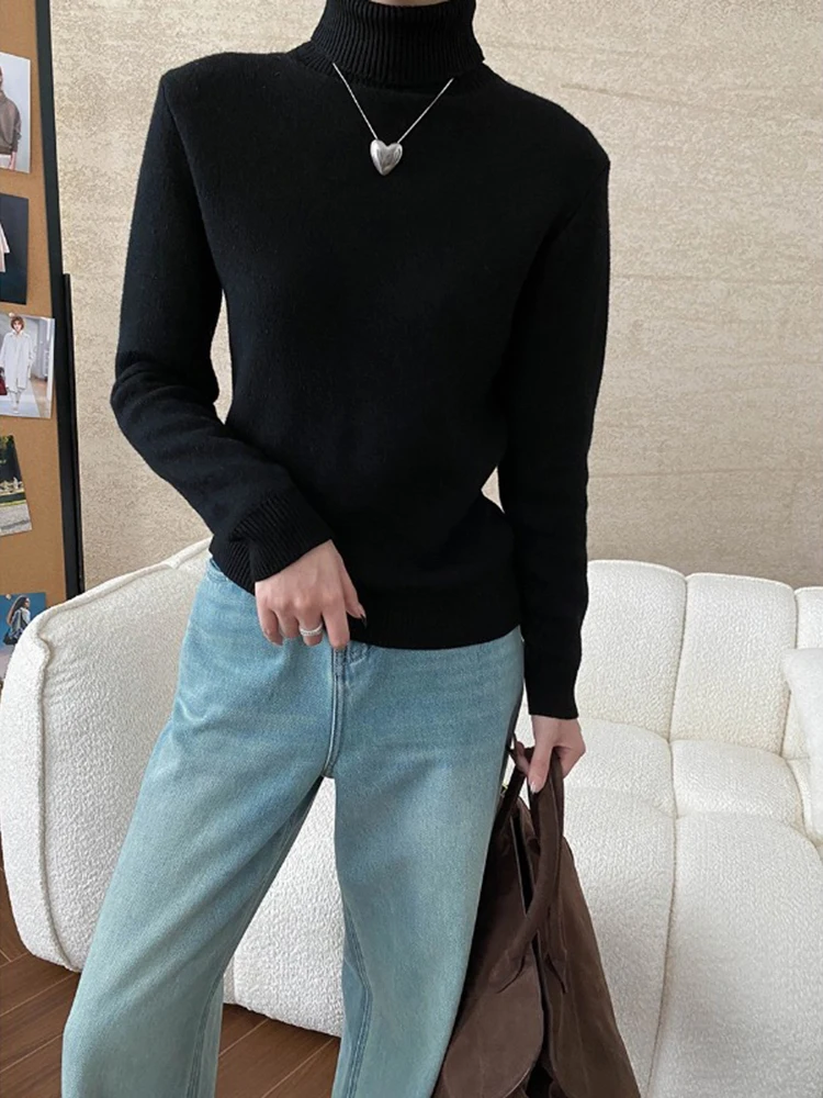 BZVW модный вязаный пуловер в стиле минимализм женский зимний 2024 новая водолазка с