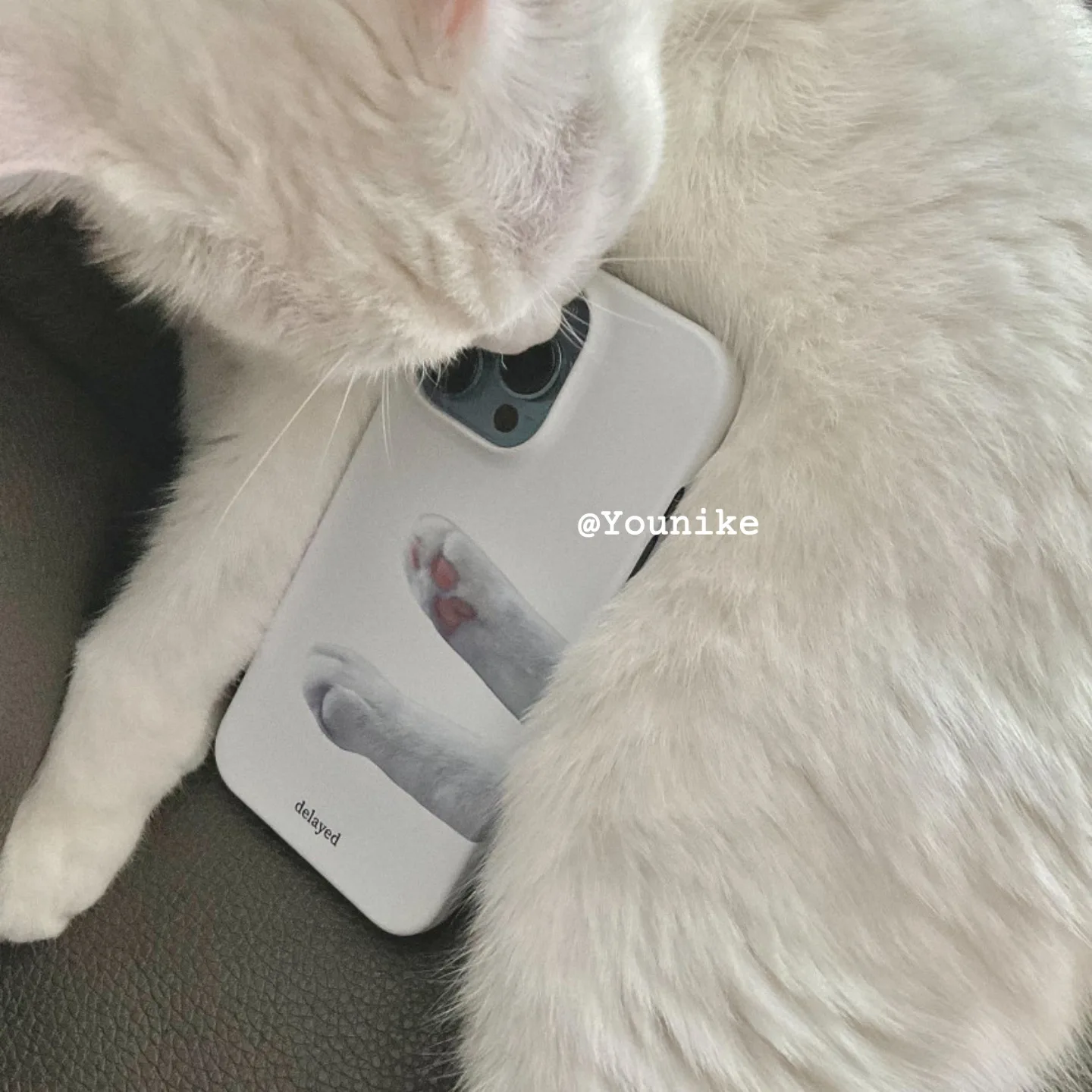 Фото Милый чехол Feilin Jiojio для iPhone 12mini/12promax Apple 11xr, чехол для телефона, Жесткий Чехол для iPhone 8 Plus №2