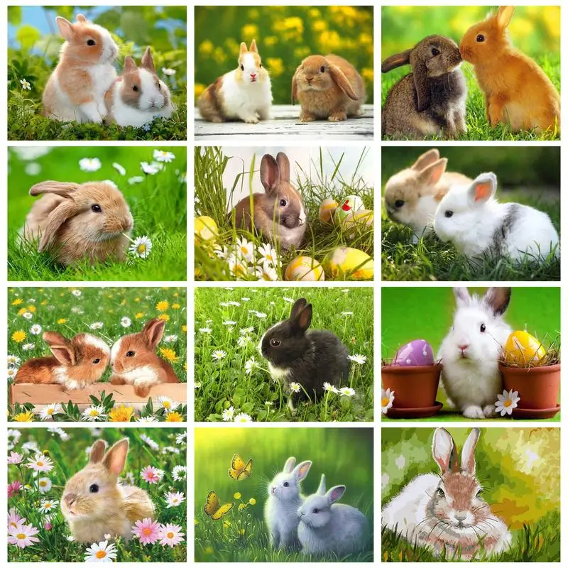 

RUOPOTY Acrylic Painting By Numbers Acrylic Paints Rabbits On Grass For Adults Picture Coloring Home Decors On Canvas Diy Gift