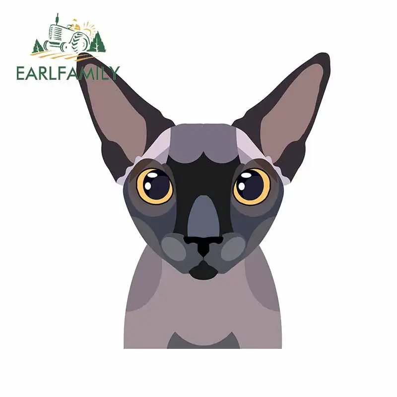 

EARLFAMILY 13 см x 10,1 см для Сфинкса кошки забавные автомобильные наклейки s «сделай сам» мотоциклетные стикеры аниме наклейки водонепроницаемые 3D наклейки