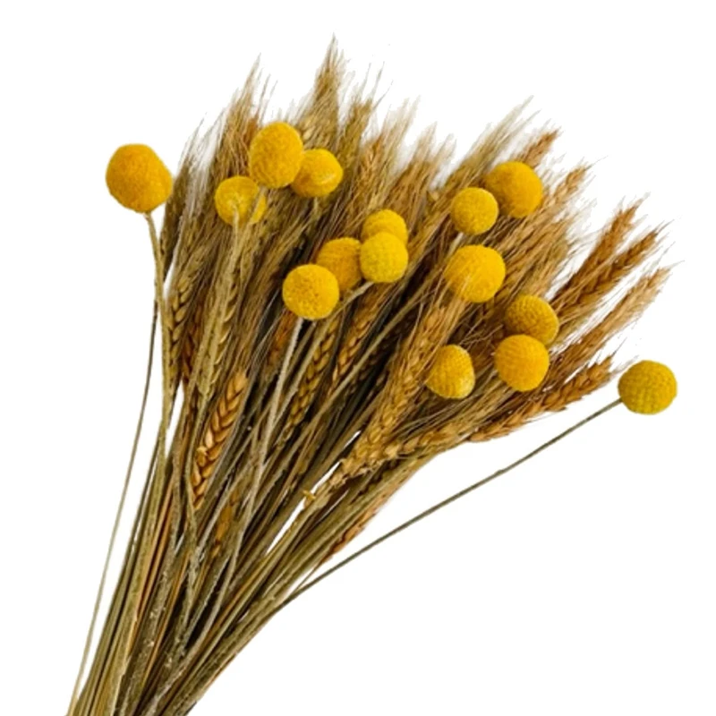 

100Pcs Dried Wheat Stalks For Decor & 15 Stems Yellow Billy Balls Buttons, Autumn Fall Artificial Flowers For Decoration