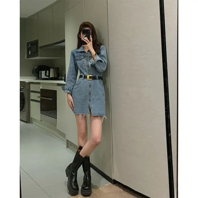 

French retro early autumn temperament dress new style waist closing chic high cold Department long sleeved denim A-line skirt