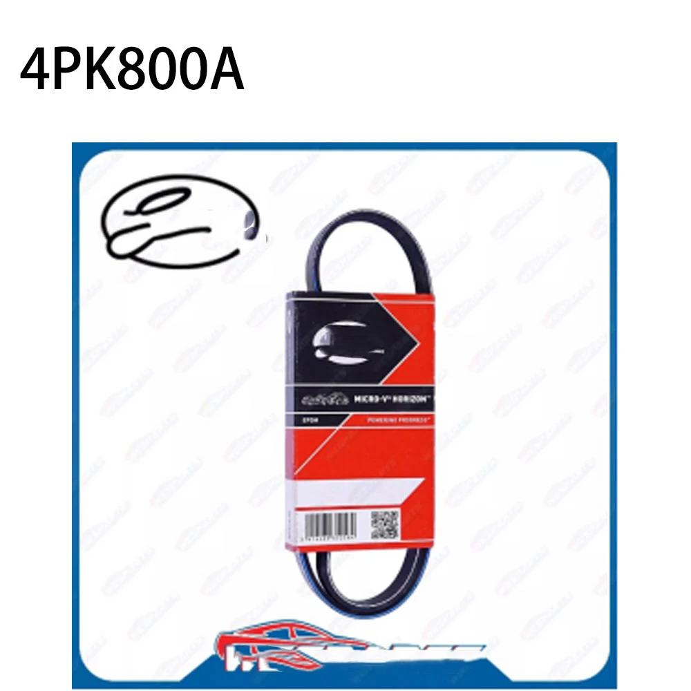 For HONDA/HOLDEN/LEXUS/SUZUKI/TOYOTA Ribbed Belt 4PK800