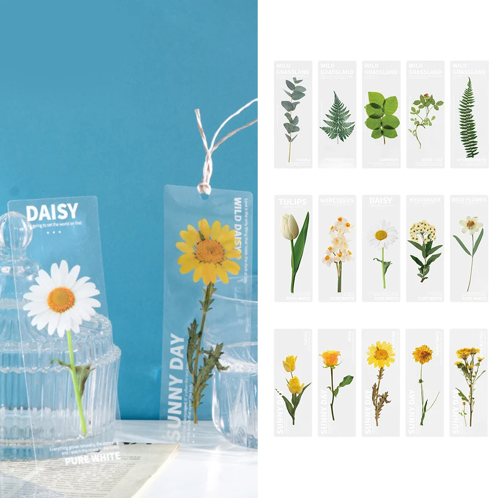 

10 шт., полупрозрачные прямоугольные черви для книг