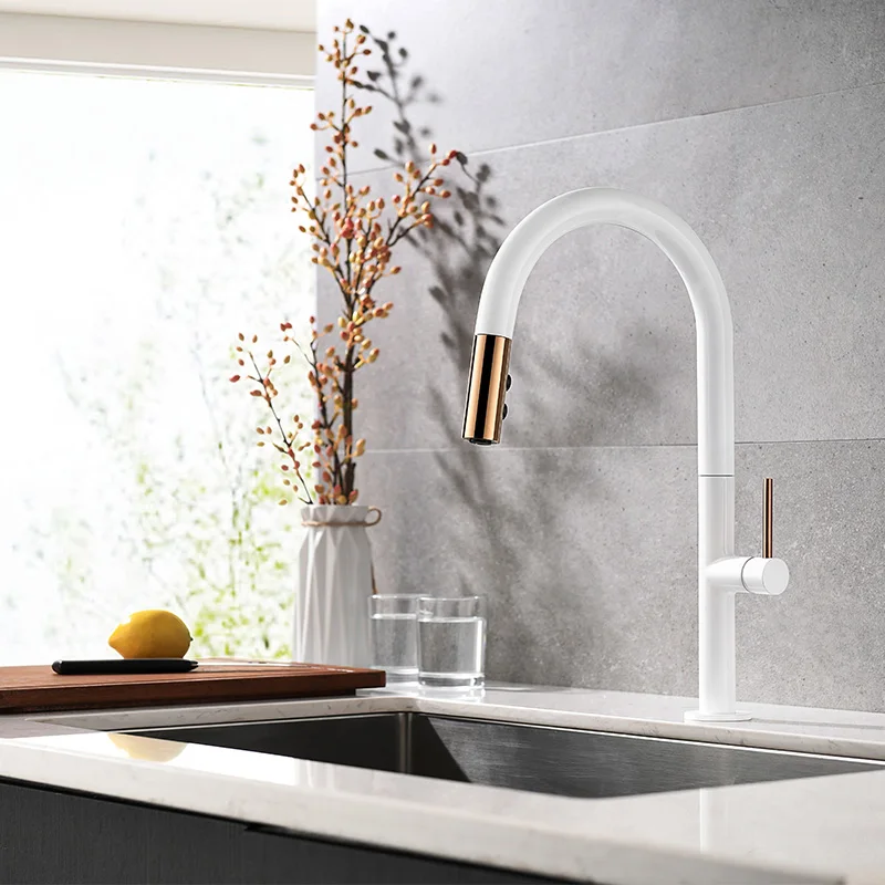 Рисунок 2 - Белый Однорычажный высокодуговой