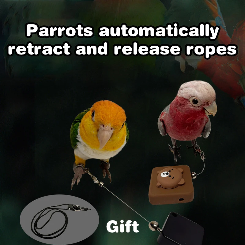 Ультралегкий поводок для полета попугая-безопасная и удобная тренировочная