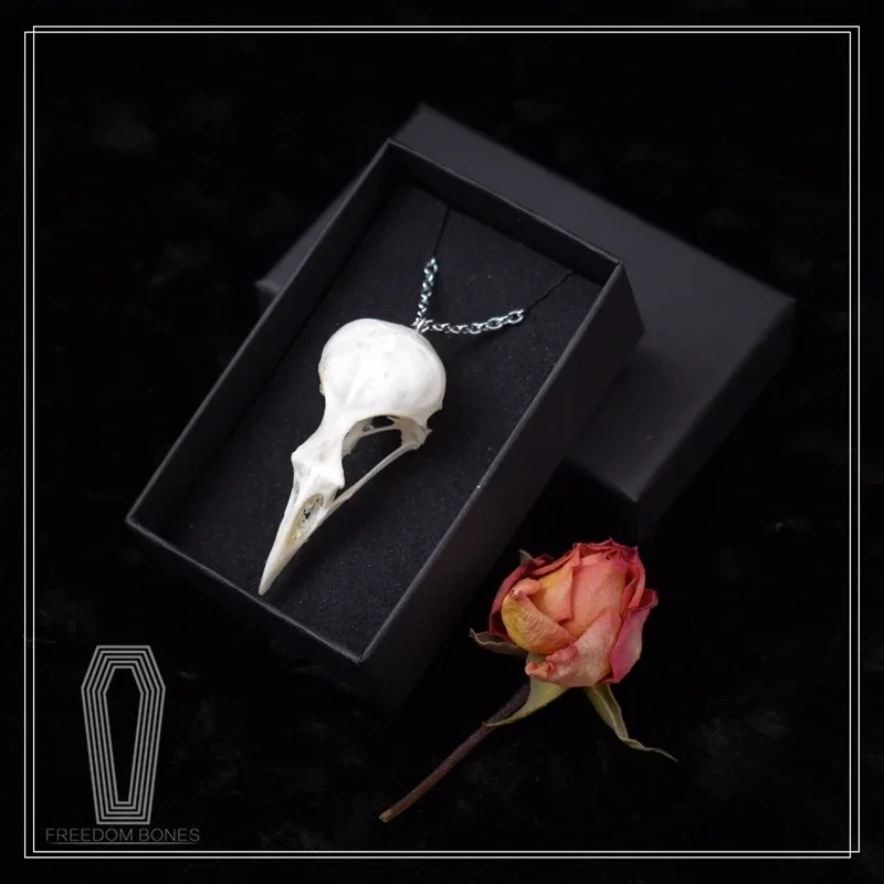 2101 ожерелье в виде птичьей головы кости ювелирные изделия темный готический