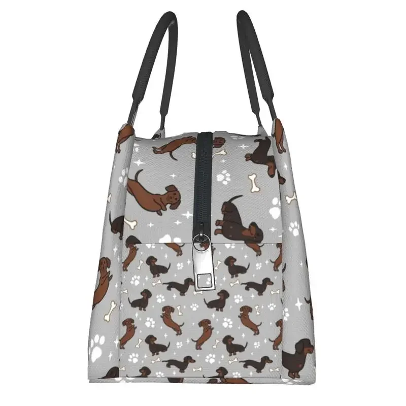 Серые таксы Dackel изолированные сумки для обеда кемпинга путешествий Wiede Dog Teckel