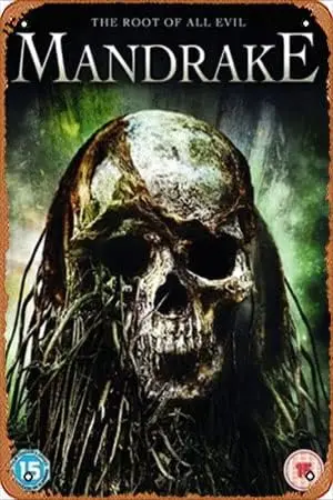 Мандрак постеры фильмов (2010) металлическая жестяная вывеска 8X12 дюймов человек