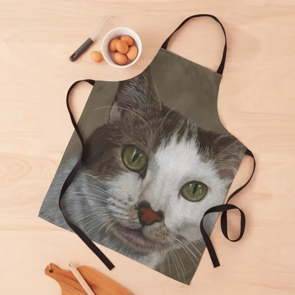 Фартук с зелеными глазами кота для мужчин кухонные вещи дома кухонная утварь