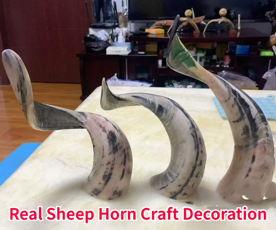 

Real Sheep Horn Decoration Pure Handmade Specimen Decoration Office Decoration Housewarming Gift Home Decoration Statue