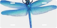 personalized license platebeautiful blue dragonfly aluminum license plate for car easy mounting indooroutdoor 6 x 12 inch