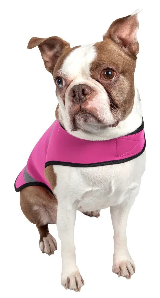 

2022Extreme Neoprene Multi-Purpose Protective Shell Dog Coat