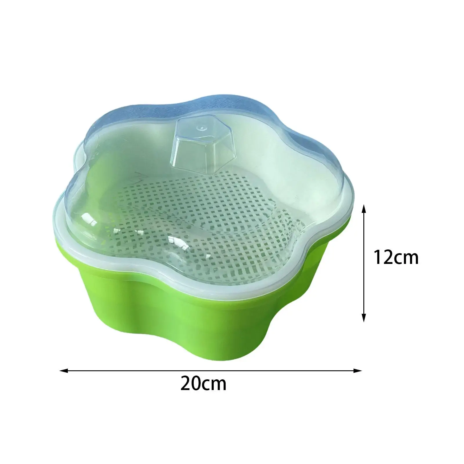 Лоток для проростков семян с крышкой Микрозелень выращивания ростков пшеничной