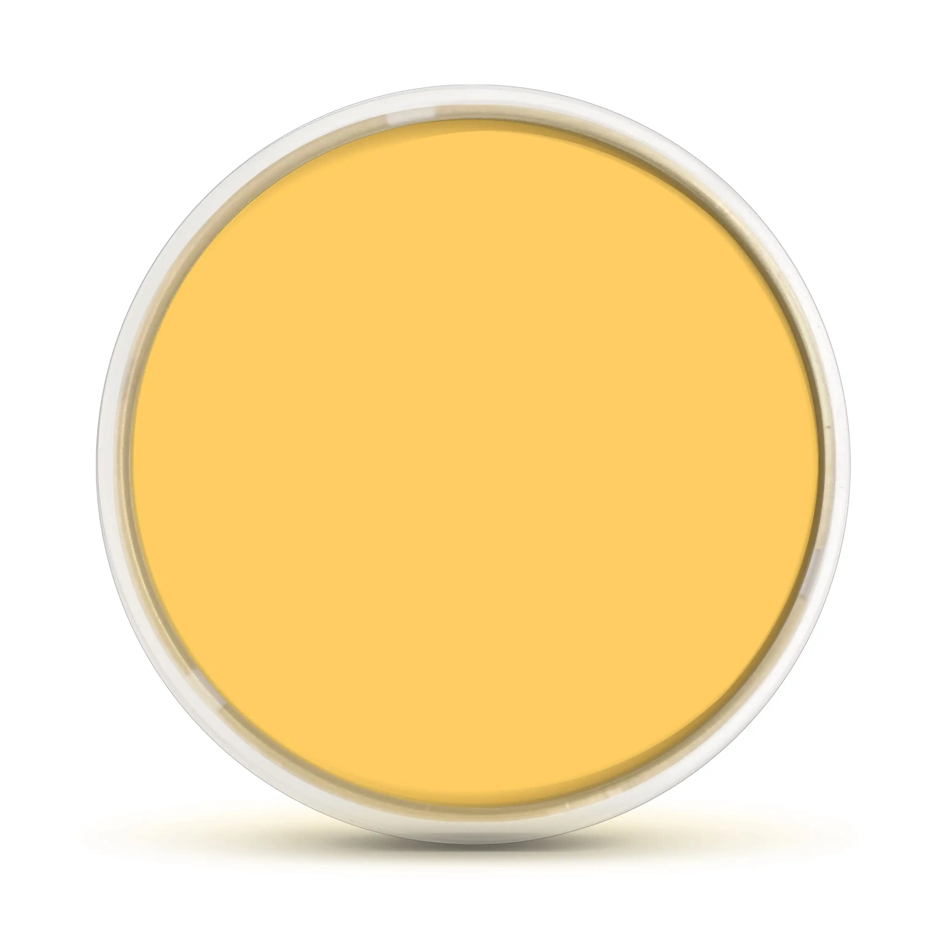 Прозрачный увеличенный магнитный фильтр для аквариума Flipper DeepSee оранжевая линза