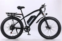 free shipping 26 inch 750w 48v13 2ah snow electric bike fat tire mountain electric bike off road electric bike