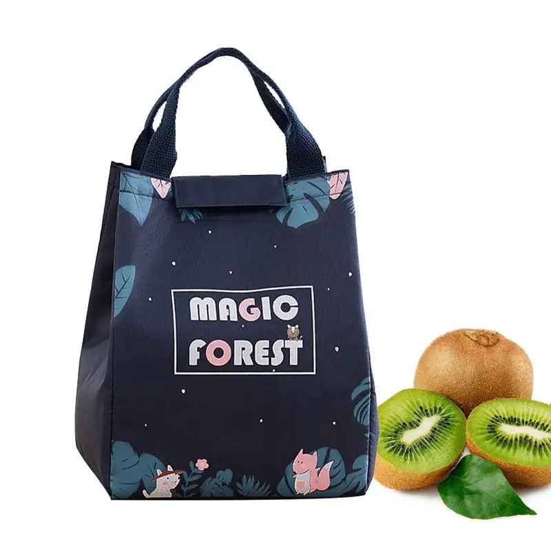

Lunch Bag Women Insulated Large Lunch Box Container Reusable Insulated Bento Storage Large Waterproof Adult Food Carrier For