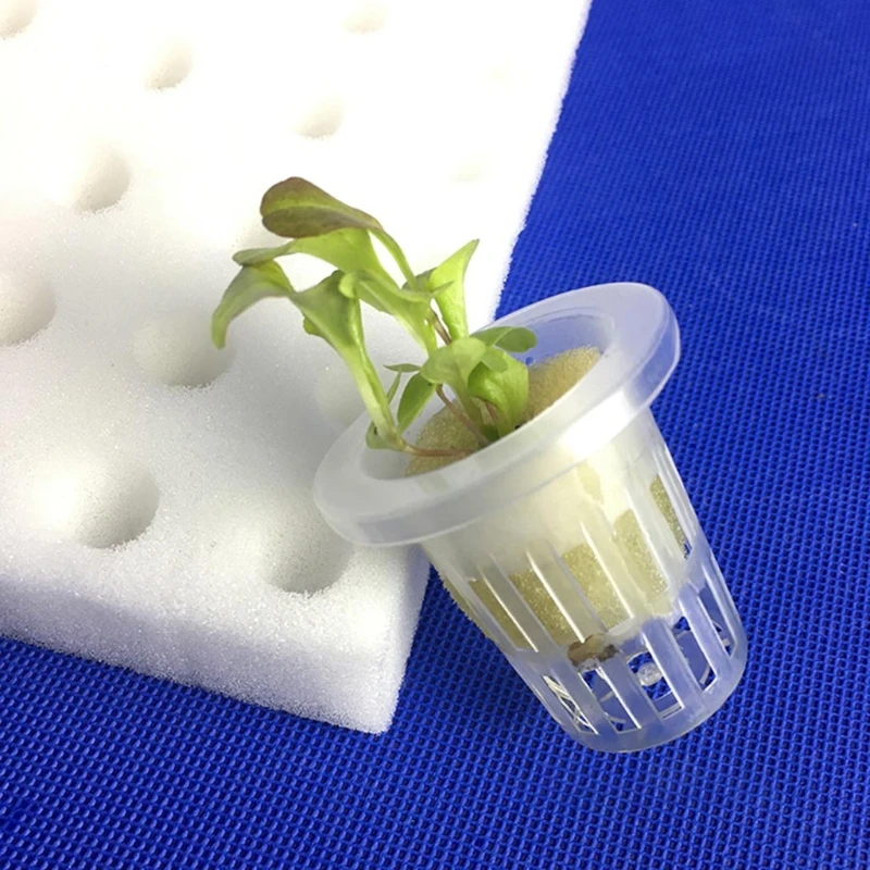 

100Pcs Soilless Hydroponic Sponge Seed Growing Media Cubes Planting Gardening Tool Square Seedling Foam Nursery Pot