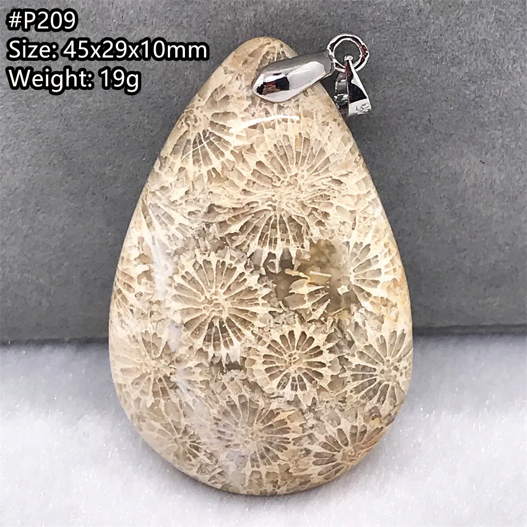 

Natural White Chrysanthemum Precious Coral Pendant Jewelry For Women Men Healing Wealthy Gift Crystal Silver Beads Stone AAAAA