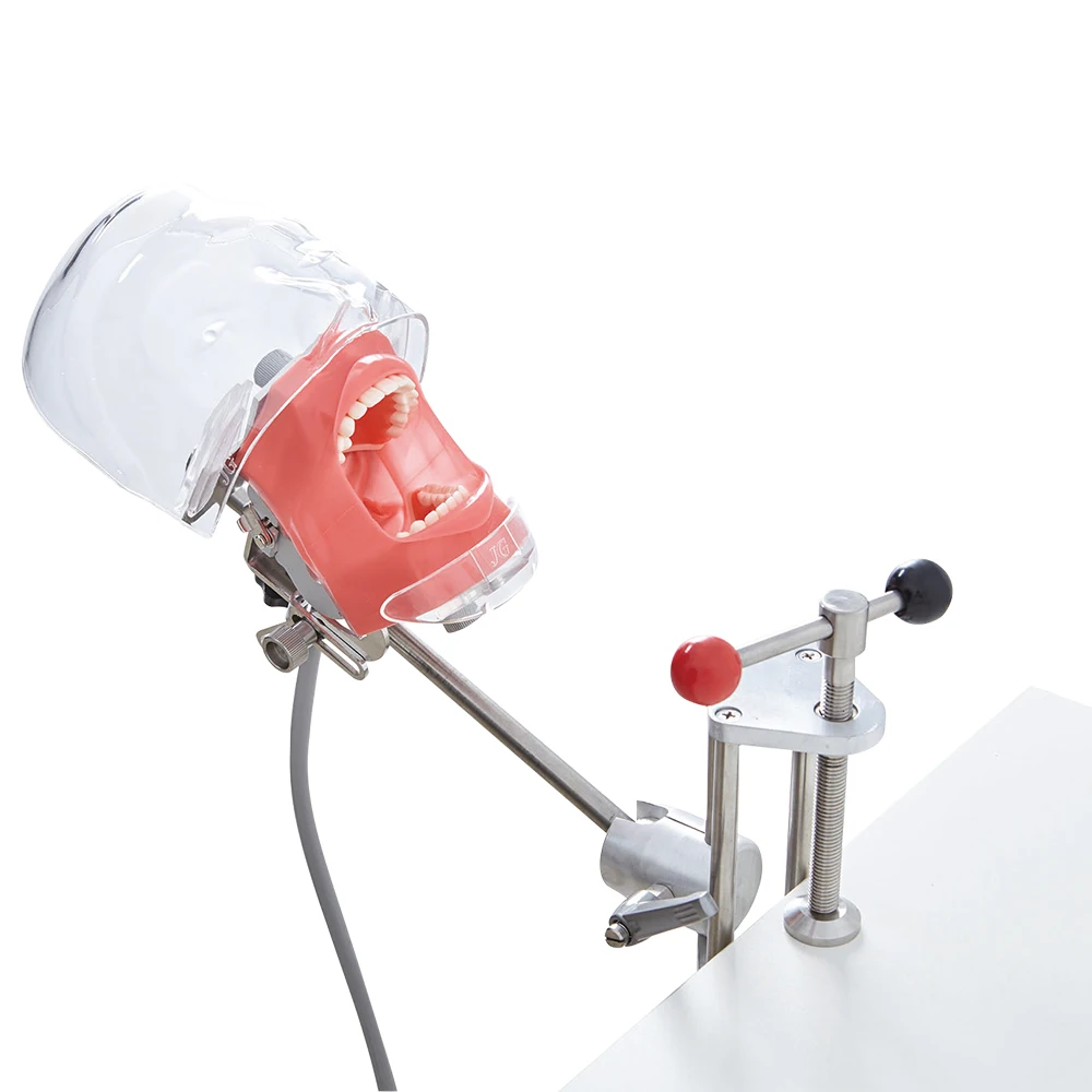 Простой стоматологический симулятор модель головы фантомный манекен с зубцами