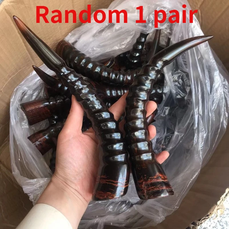 

African Yak Horn Horn Horn Horn Solid Raw Material Decoration DIY Crafts Home Decoration Festival Gift Halloween Resin