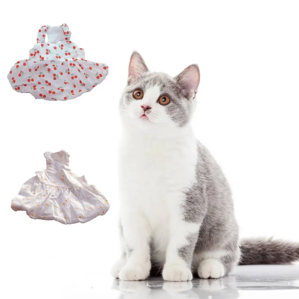 

40%HOT Dog Dress Fruit Printing Dress-up Washable Summer Dog Two-legged Clothes for Spring