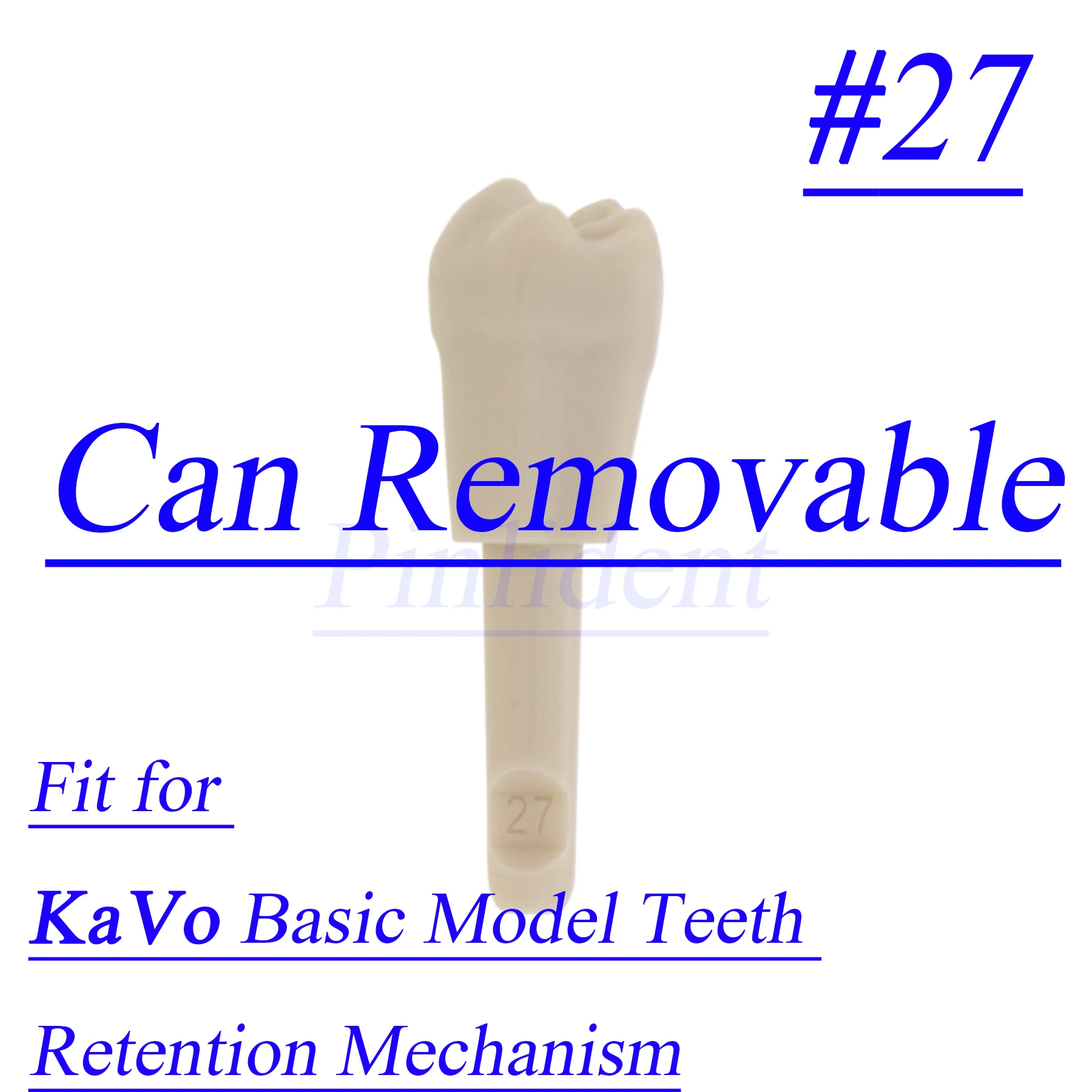 32 шт. модели зубных зубов KaVo # 27 Базовая модель стоматологического фиксатора