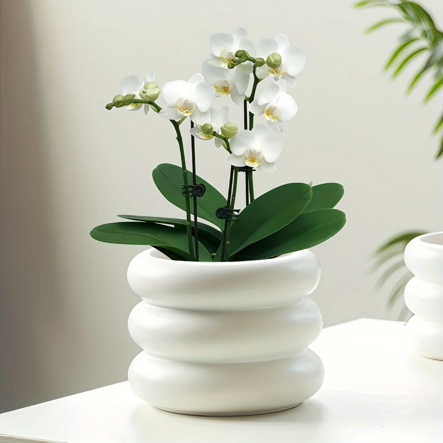 1 шт. белый керамический горшок для суккулентов кактусов контейнер цветов с