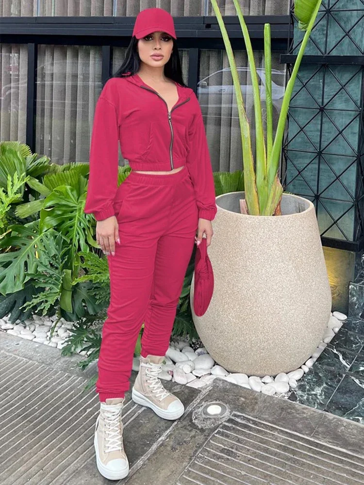 

Однотонный комплект из двух предметов, Повседневная модная одежда для женщин, короткий худи на молнии и брюки с эластичным поясом