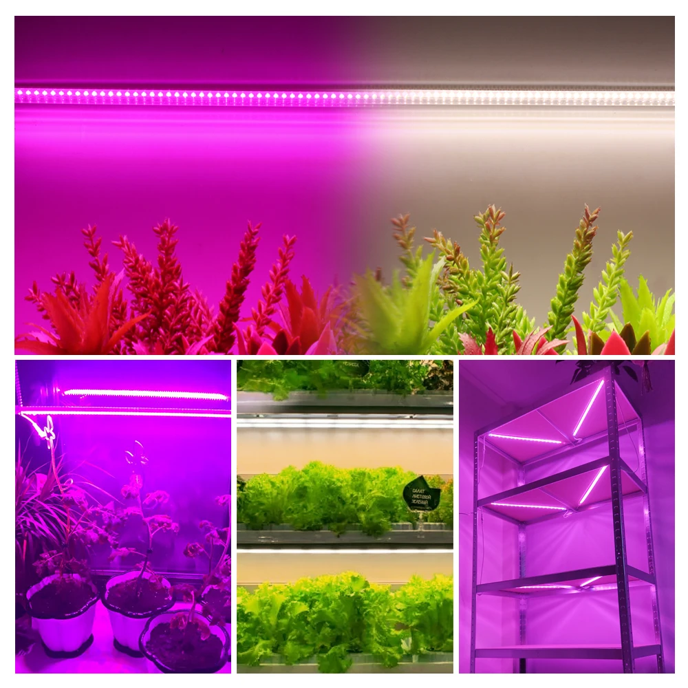 Grow Light 220V Full Spectrum LED Bar Light for Plants 50cm Phyto Lamp for Plant Veg Flowers Greenhouse Tent 4000K 380-780nm images - 6