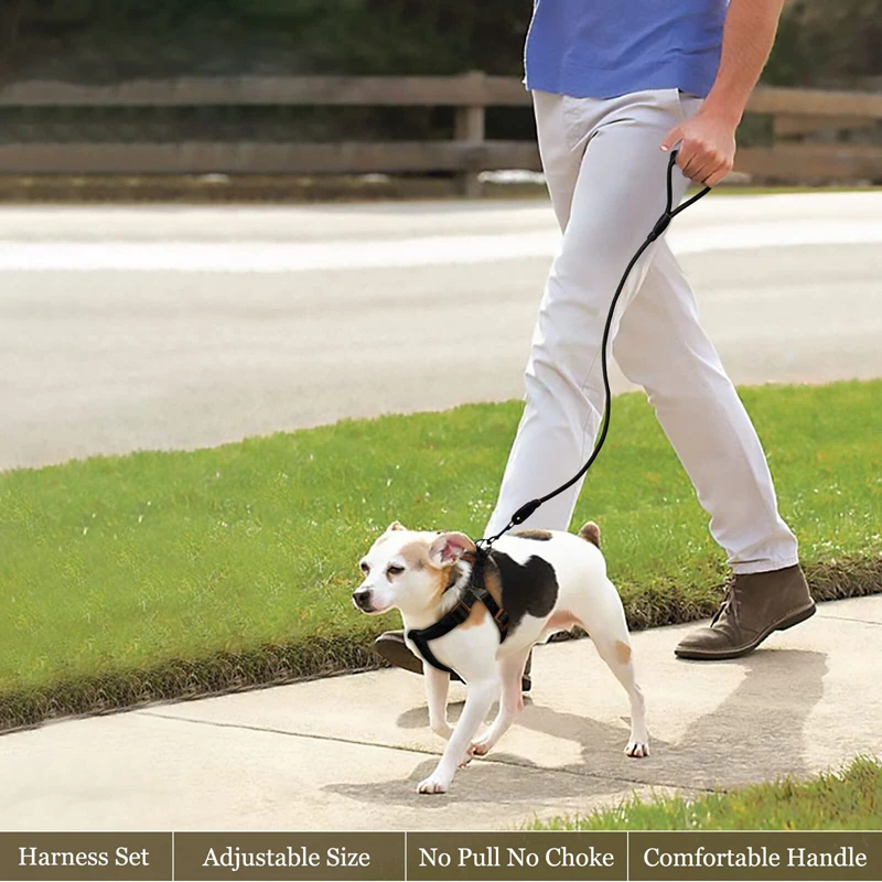 Benepaw No Pull Dog Harness Leash Set Adjustable Comfortable Neck Balance Pet Halter Harnesses For Small Medium Large Dogs |